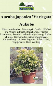 Pflanzenschilder_Schreck_Seite_002-633x1024