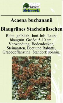 Pflanzenschilder_Schreck_Seite_004-633x1024