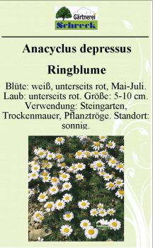 Pflanzenschilder_Schreck_Seite_012-633x1024