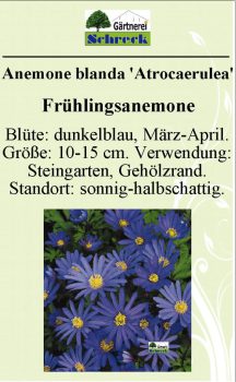 Pflanzenschilder_Schreck_Seite_014-633x1024