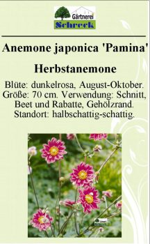 Pflanzenschilder_Schreck_Seite_015-633x1024