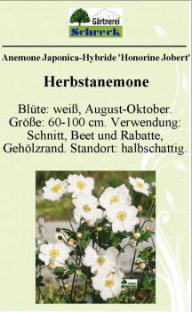 Pflanzenschilder_Schreck_Seite_016-633x1024