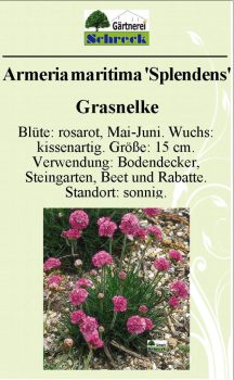 Pflanzenschilder_Schreck_Seite_022-633x1024