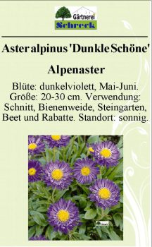 Pflanzenschilder_Schreck_Seite_028-633x1024