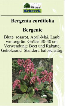 Pflanzenschilder_Schreck_Seite_041-633x1024