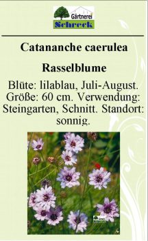 Pflanzenschilder_Schreck_Seite_052-633x1024