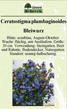 Pflanzenschilder_Schreck_Seite_056-633x1024