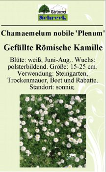 Pflanzenschilder_Schreck_Seite_057-633x1024