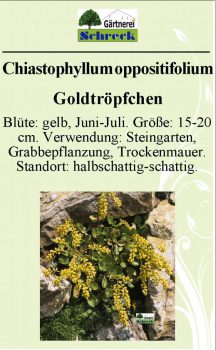 Pflanzenschilder_Schreck_Seite_058-633x1024