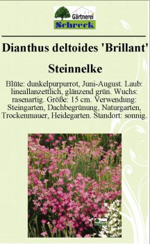 Pflanzenschilder_Schreck_Seite_073-633x1024