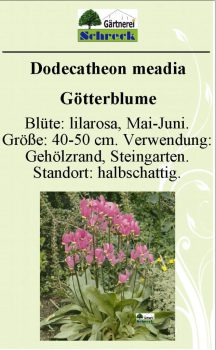 Pflanzenschilder_Schreck_Seite_082-633x1024