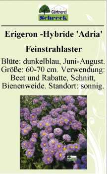 Pflanzenschilder_Schreck_Seite_089-633x1024