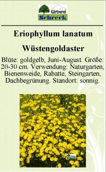 Pflanzenschilder_Schreck_Seite_090-633x1024