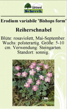 Pflanzenschilder_Schreck_Seite_091-633x1024