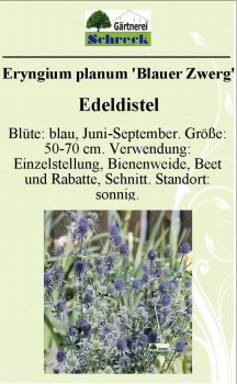 Pflanzenschilder_Schreck_Seite_092-633x1024