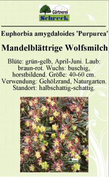 Pflanzenschilder_Schreck_Seite_093-633x1024