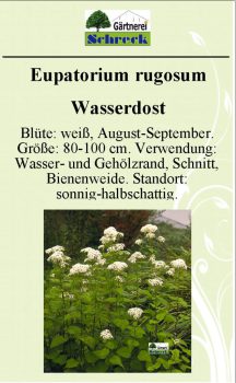 Pflanzenschilder_Schreck_Seite_094-633x1024