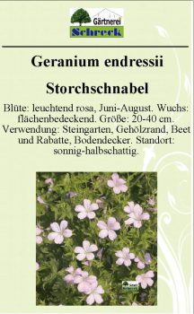 Pflanzenschilder_Schreck_Seite_101-633x1024