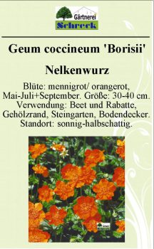 Pflanzenschilder_Schreck_Seite_107-633x1024