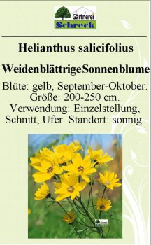 Pflanzenschilder_Schreck_Seite_116-633x1024