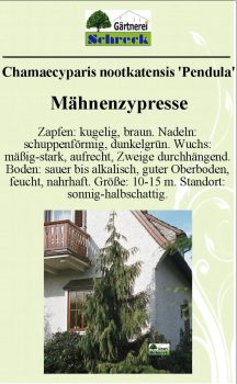 Pflanzenschilder_Schreck_Seite_359-633x1024