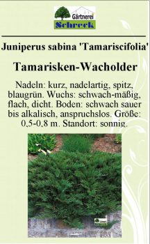 Pflanzenschilder_Schreck_Seite_373-633x1024