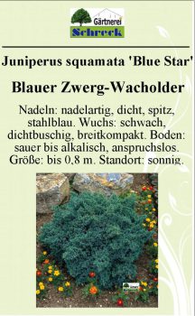 Pflanzenschilder_Schreck_Seite_375-633x1024