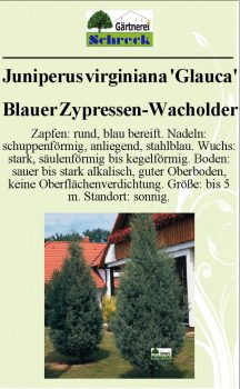 Pflanzenschilder_Schreck_Seite_377-633x1024