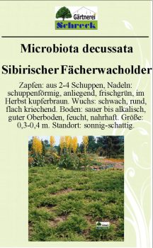 Pflanzenschilder_Schreck_Seite_383-633x1024