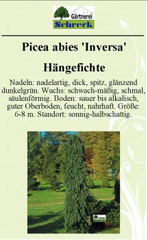 Pflanzenschilder_Schreck_Seite_385-633x1024