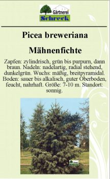 Pflanzenschilder_Schreck_Seite_388-633x1024