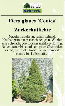 Pflanzenschilder_Schreck_Seite_389-633x1024