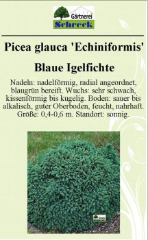 Pflanzenschilder_Schreck_Seite_390-633x1024