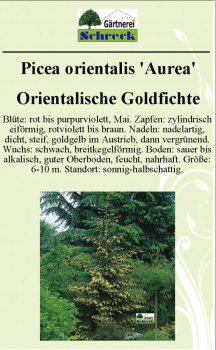 Pflanzenschilder_Schreck_Seite_393-633x1024