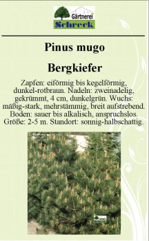 Pflanzenschilder_Schreck_Seite_396-633x1024