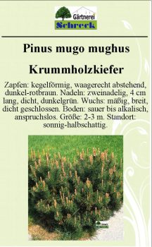 Pflanzenschilder_Schreck_Seite_397-633x1024