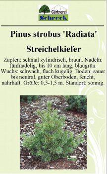 Pflanzenschilder_Schreck_Seite_401-633x1024