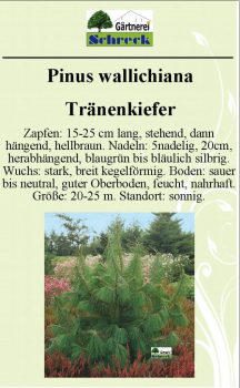 Pflanzenschilder_Schreck_Seite_403-633x1024