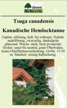 Pflanzenschilder_Schreck_Seite_416-633x1024