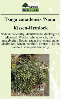 Pflanzenschilder_Schreck_Seite_417-633x1024