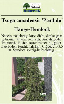 Pflanzenschilder_Schreck_Seite_418-633x1024