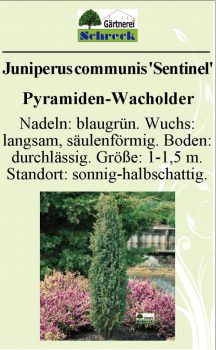 Pflanzenschilder_Schreck_Seite_426-633x1024