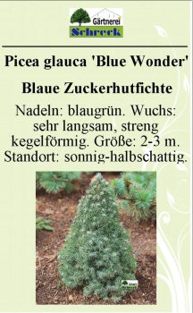 Pflanzenschilder_Schreck_Seite_428-633x1024