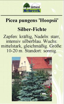 Pflanzenschilder_Schreck_Seite_429-633x1024