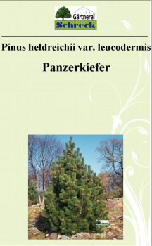 Pflanzenschilder_Schreck_Seite_430-633x1024