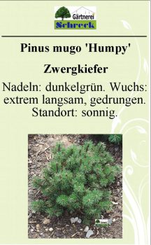 Pflanzenschilder_Schreck_Seite_431-633x1024