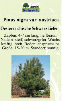 Pflanzenschilder_Schreck_Seite_433-633x1024