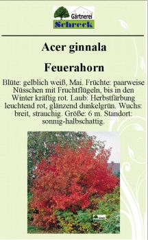 Pflanzenschilder_Schreck_Seite_455-633x1024