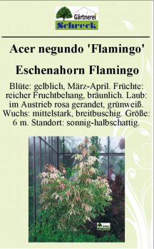 Pflanzenschilder_Schreck_Seite_456-633x1024