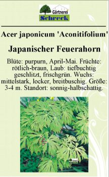 Pflanzenschilder_Schreck_Seite_457-633x1024